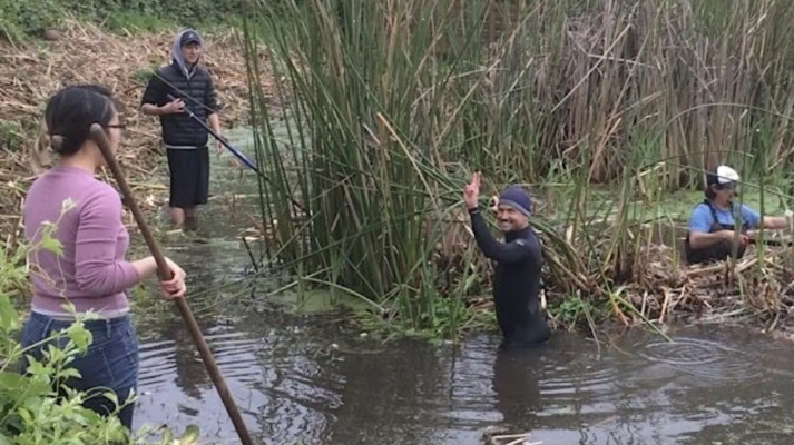 Water Gardening & Alemany Pond Restoration Day