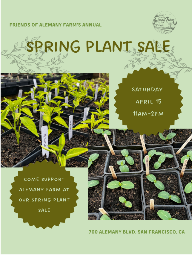 Alemany Farm Plant Sale