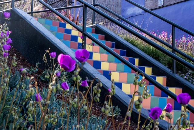 Tompkins Stairway Garden Work Day