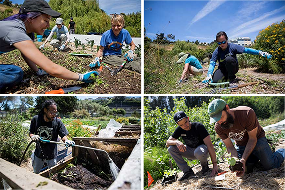 Friends of Alemany Farm Seeks an Executive Director