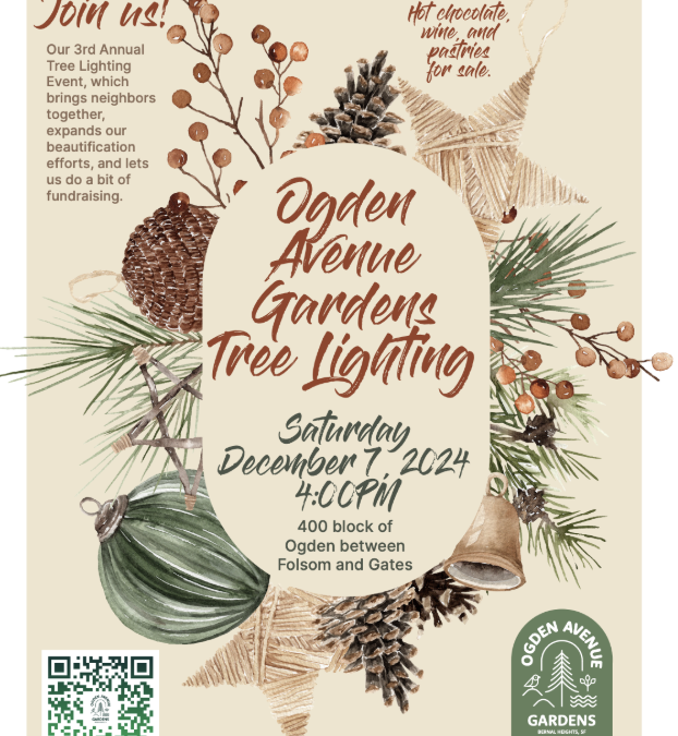 Ogden Avenue Gardens Tree Lighting 2024