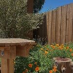 46th Ave Garden