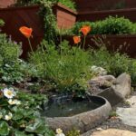 Excelsior Garden