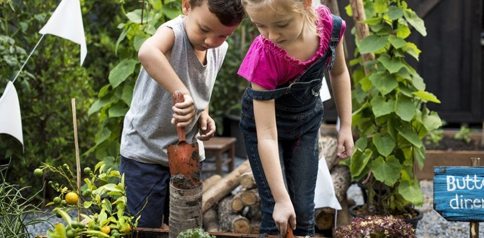 Plant Swap @ Bernal Library