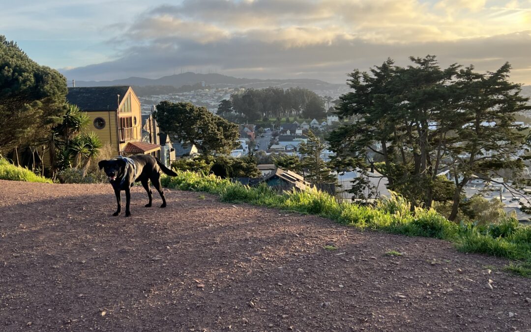 10 Reasons to Visit Bernal Heights
