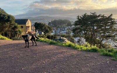 10 Reasons to Visit Bernal Heights