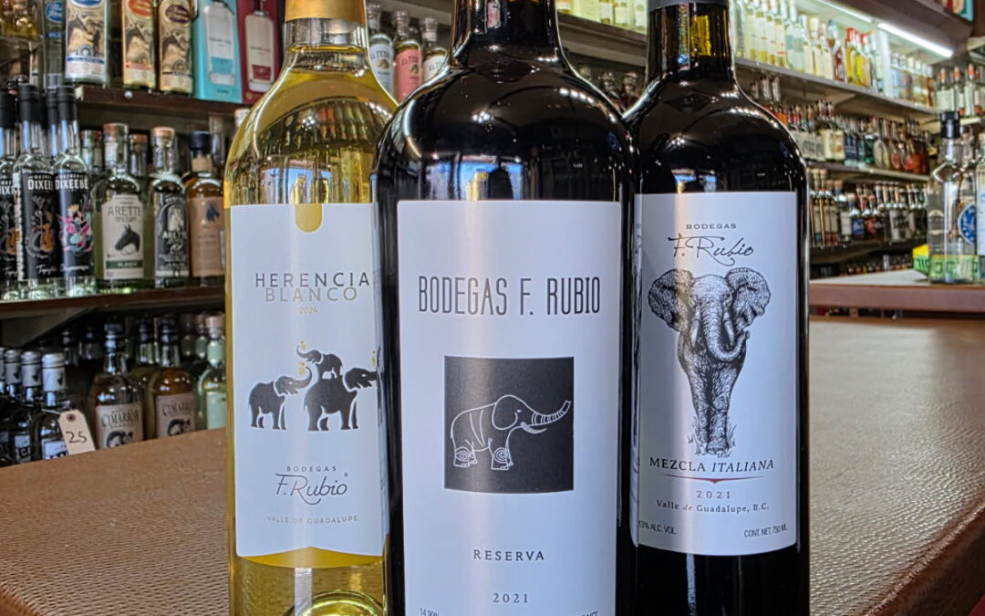 Wine Tasting: Bodegas F. Rubio, Valle de Guadalupe