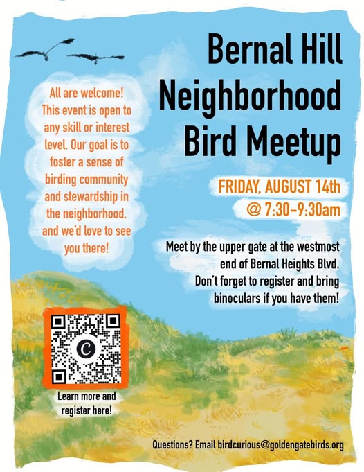 Bernal Hill Neighborhood Bird Meetup
