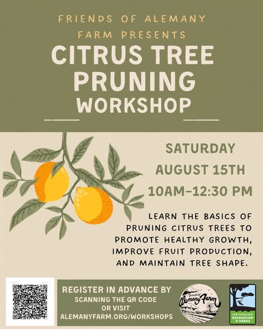 Alemany Farms Citrus Tree Pruning Workshop