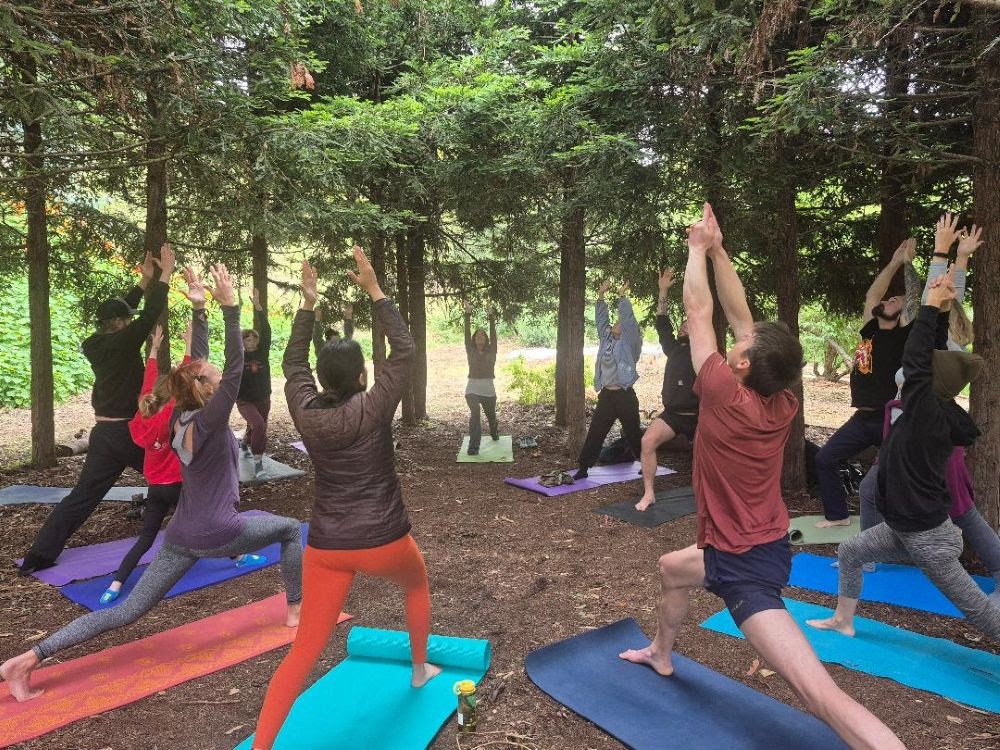 Free Yoga at the Alemany Farm