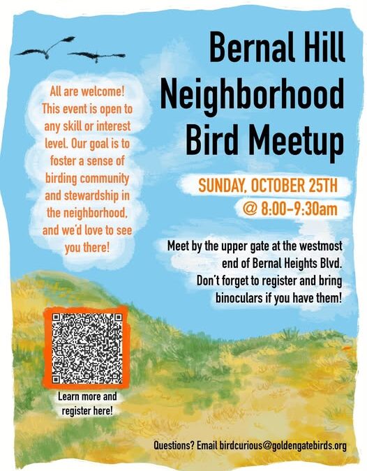 Bernal Hill Neighborhood Bird Meetup