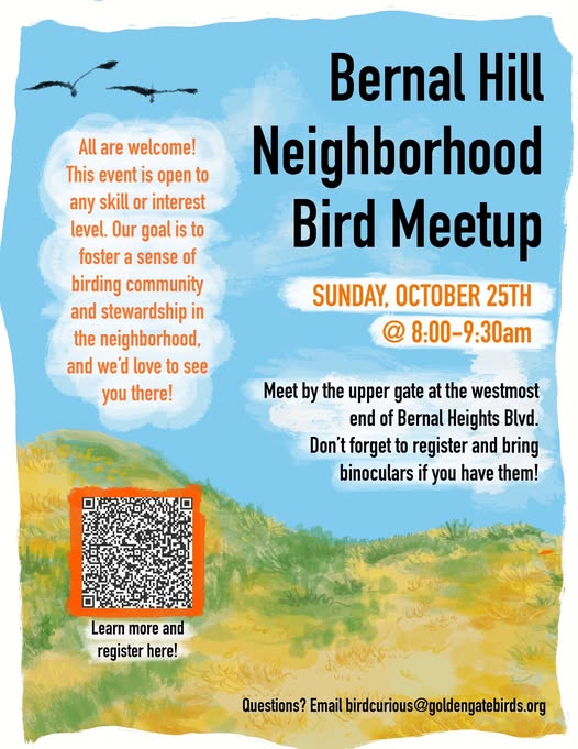 Bernal Hill Neighborhood Bird Meetup