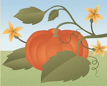 Alemany Farm’s 21st Annual Harvest Festival