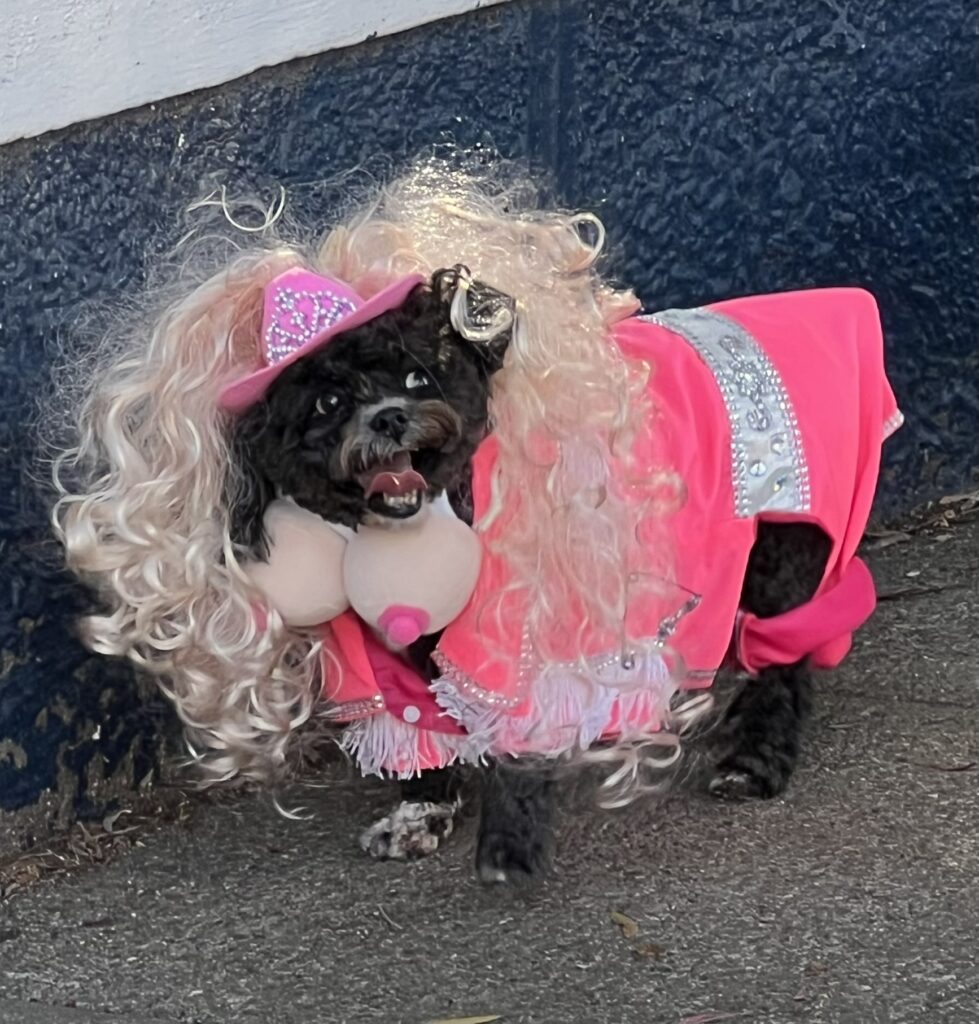 Doggy Parton, Bernal Heights Pet Parade