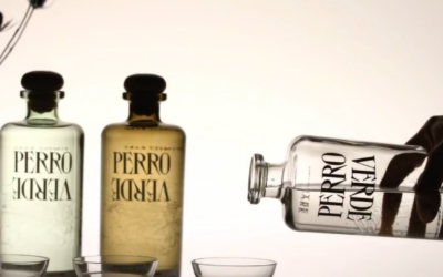 Weekend Tasting Guide: Celebrate Agave, Wine, and Community in Bernal!